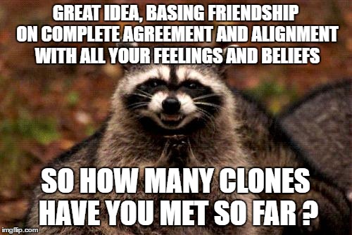 Evil Plotting Raccoon Meme | GREAT IDEA, BASING FRIENDSHIP ON COMPLETE AGREEMENT AND ALIGNMENT WITH ALL YOUR FEELINGS AND BELIEFS; SO HOW MANY CLONES HAVE YOU MET SO FAR ? | image tagged in memes,evil plotting raccoon | made w/ Imgflip meme maker