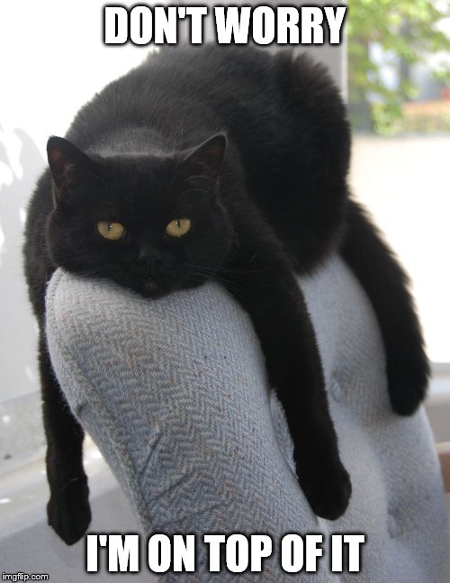 Draped Cat Be Like | DON'T WORRY; I'M ON TOP OF IT | image tagged in black cat draped on chair,draped cat,don't worry i'm on top of it | made w/ Imgflip meme maker