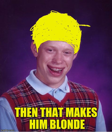 Bad Luck Brian Meme | THEN THAT MAKES HIM BLONDE | image tagged in memes,bad luck brian | made w/ Imgflip meme maker