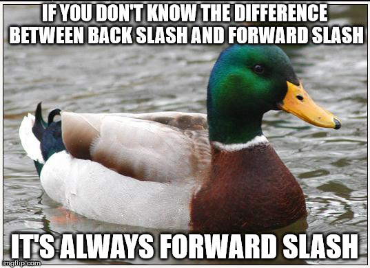 Actual Advice Mallard Meme | IF YOU DON'T KNOW THE DIFFERENCE BETWEEN BACK SLASH AND FORWARD SLASH; IT'S ALWAYS FORWARD SLASH | image tagged in memes,actual advice mallard,AdviceAnimals | made w/ Imgflip meme maker