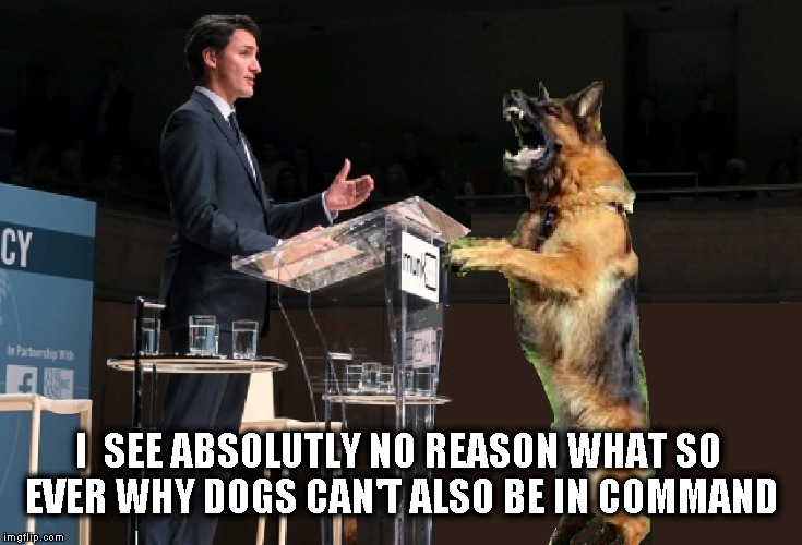 While suggesting new lyrics for the song Oh Canada | I  SEE ABSOLUTLY NO REASON WHAT SO EVER WHY DOGS CAN'T ALSO BE IN COMMAND | image tagged in justin trudeau,trudeau,funny meme,meme | made w/ Imgflip meme maker