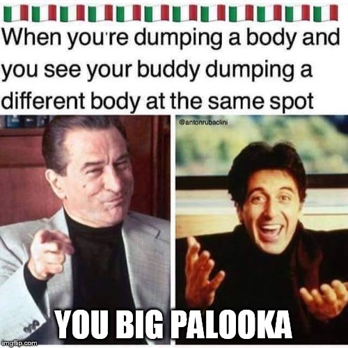 YOU BIG PALOOKA | image tagged in me | made w/ Imgflip meme maker