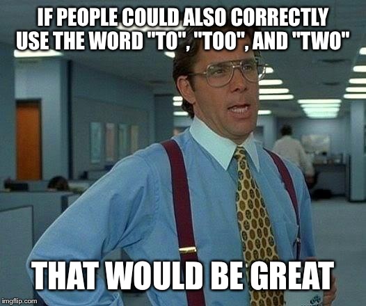 That Would Be Great Meme | IF PEOPLE COULD ALSO CORRECTLY USE THE WORD "TO", "TOO", AND "TWO" THAT WOULD BE GREAT | image tagged in memes,that would be great | made w/ Imgflip meme maker