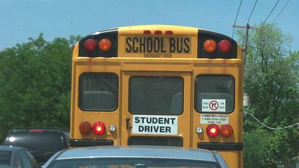 High Quality student school bus driver Blank Meme Template