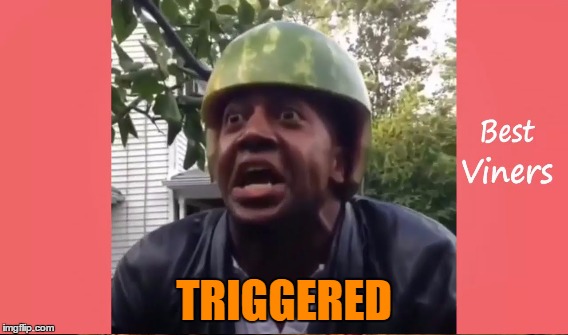 TRIGGERED | made w/ Imgflip meme maker