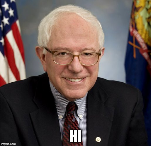 Bernie Sanders | HI | image tagged in bernie sanders | made w/ Imgflip meme maker