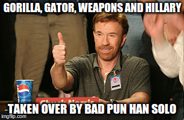 Chuck Norris Approves | GORILLA, GATOR, WEAPONS AND HILLARY; TAKEN OVER BY BAD PUN HAN SOLO | image tagged in memes,chuck norris approves | made w/ Imgflip meme maker