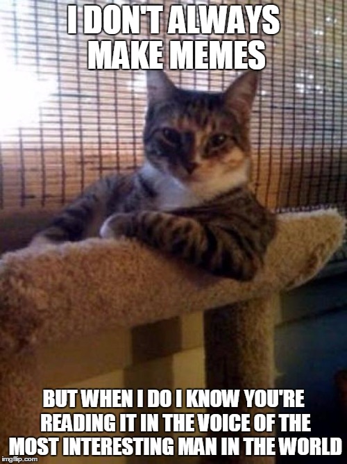 The Most Interesting Cat In The World Meme | I DON'T ALWAYS MAKE MEMES; BUT WHEN I DO I KNOW YOU'RE READING IT IN THE VOICE OF THE MOST INTERESTING MAN IN THE WORLD | image tagged in memes,the most interesting cat in the world | made w/ Imgflip meme maker