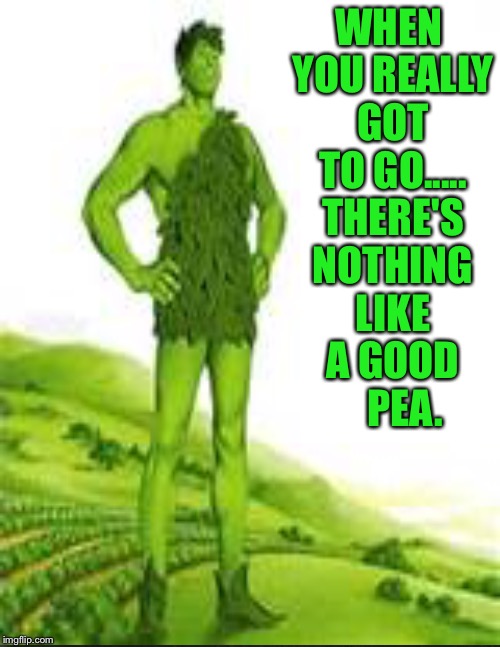 In the immortal words of the jolly green giant | WHEN YOU REALLY GOT TO GO..... THERE'S NOTHING LIKE A GOOD      PEA. | image tagged in memes | made w/ Imgflip meme maker