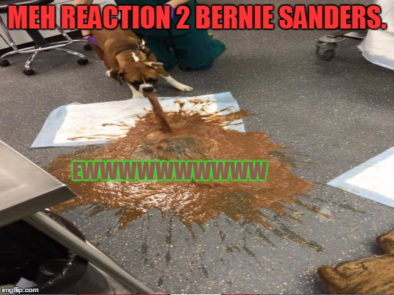 MEH REACTION 2 BERNIE SANDERS. EWWWWWWWWWW | made w/ Imgflip meme maker