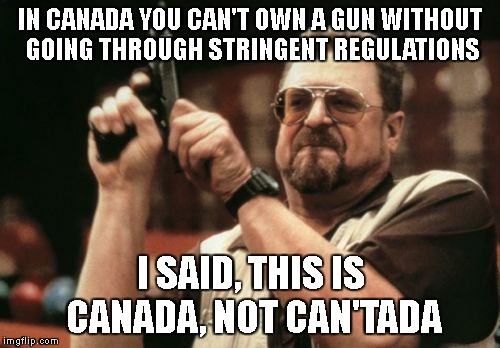 Am I The Only One Around Here | IN CANADA YOU CAN'T OWN A GUN WITHOUT GOING THROUGH STRINGENT REGULATIONS; I SAID, THIS IS CANADA, NOT CAN'TADA | image tagged in memes,am i the only one around here | made w/ Imgflip meme maker