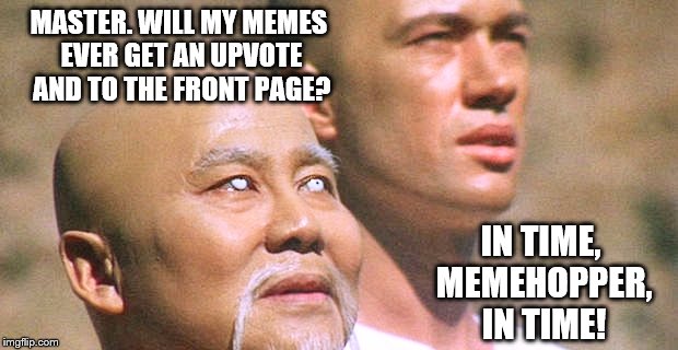 Memehopper queries the Wise Master | MASTER. WILL MY MEMES EVER GET AN UPVOTE AND TO THE FRONT PAGE? IN TIME, MEMEHOPPER, IN TIME! | image tagged in memehopper 101,memes,funny,tv show,wise kung fu master | made w/ Imgflip meme maker
