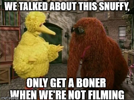 Big Bird And Snuffy Meme | WE TALKED ABOUT THIS SNUFFY, ONLY GET A BONER WHEN WE'RE NOT FILMING | image tagged in memes,big bird and snuffy | made w/ Imgflip meme maker