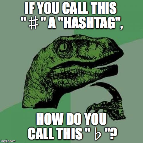 Philosoraptor | IF YOU CALL THIS "♯" A "HASHTAG", HOW DO YOU CALL THIS "♭"? | image tagged in memes,philosoraptor | made w/ Imgflip meme maker