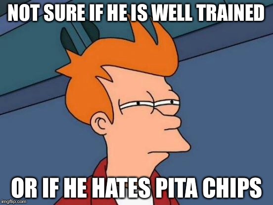 Futurama Fry | NOT SURE IF HE IS WELL TRAINED; OR IF HE HATES PITA CHIPS | image tagged in memes,futurama fry | made w/ Imgflip meme maker