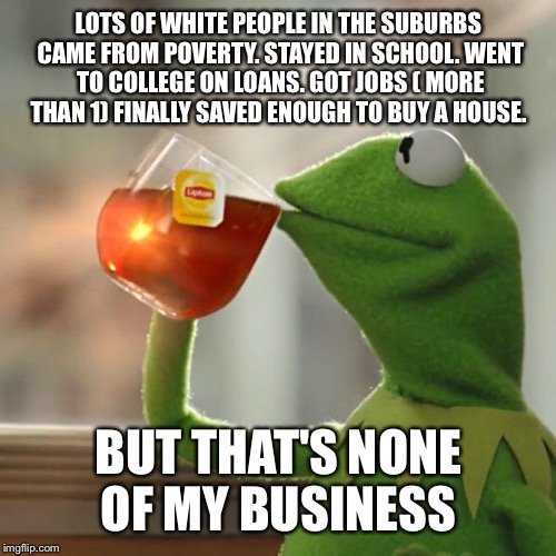 But That's None Of My Business Meme | LOTS OF WHITE PEOPLE IN THE SUBURBS CAME FROM POVERTY. STAYED IN SCHOOL. WENT TO COLLEGE ON LOANS. GOT JOBS ( MORE THAN 1) FINALLY SAVED ENO | image tagged in memes,but thats none of my business,kermit the frog | made w/ Imgflip meme maker