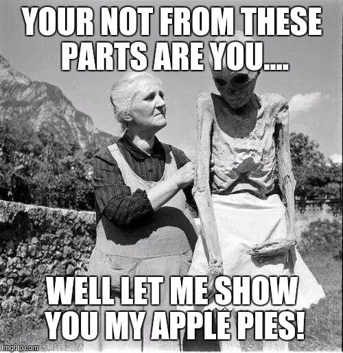 YOUR NOT FROM THESE PARTS ARE YOU.... WELL LET ME SHOW YOU MY APPLE PIES! | made w/ Imgflip meme maker