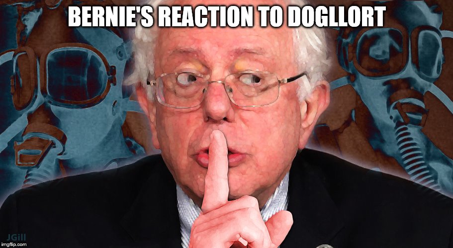 Bernie Shh | BERNIE'S REACTION TO DOGLLORT | image tagged in bernie shh | made w/ Imgflip meme maker