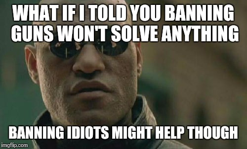 Matrix Morpheus | WHAT IF I TOLD YOU BANNING GUNS WON'T SOLVE ANYTHING; BANNING IDIOTS MIGHT HELP THOUGH | image tagged in memes,matrix morpheus,funny,true,guns | made w/ Imgflip meme maker