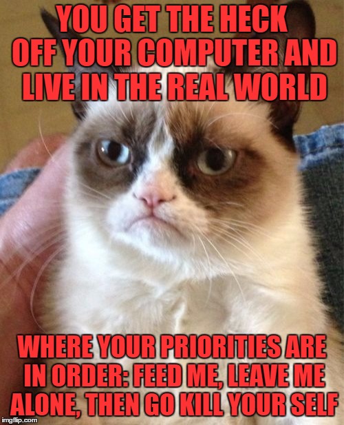 Grumpy Cat Meme | YOU GET THE HECK OFF YOUR COMPUTER AND LIVE IN THE REAL WORLD WHERE YOUR PRIORITIES ARE IN ORDER: FEED ME, LEAVE ME ALONE, THEN GO KILL YOUR | image tagged in memes,grumpy cat | made w/ Imgflip meme maker