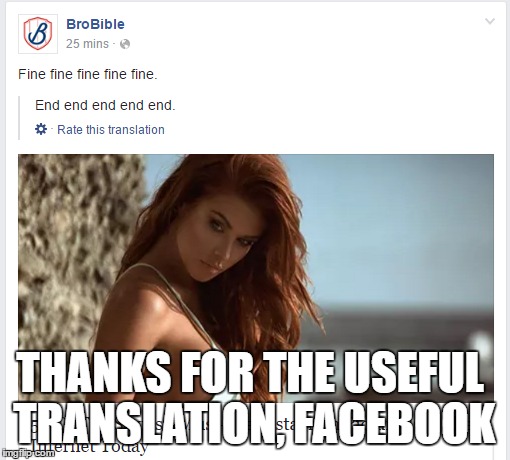 Lost in Translation | THANKS FOR THE USEFUL TRANSLATION, FACEBOOK | image tagged in translation,facebook | made w/ Imgflip meme maker