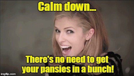 Calm down... There's no need to get your pansies in a bunch! | made w/ Imgflip meme maker
