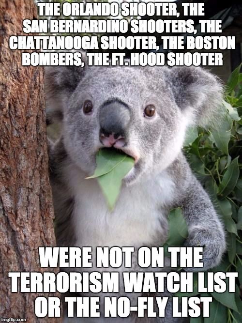 The "lists" don't stop anything. |  THE ORLANDO SHOOTER, THE SAN BERNARDINO SHOOTERS, THE CHATTANOOGA SHOOTER, THE BOSTON BOMBERS, THE FT. HOOD SHOOTER; WERE NOT ON THE TERRORISM WATCH LIST OR THE NO-FLY LIST | image tagged in wtf koala,terrorism | made w/ Imgflip meme maker