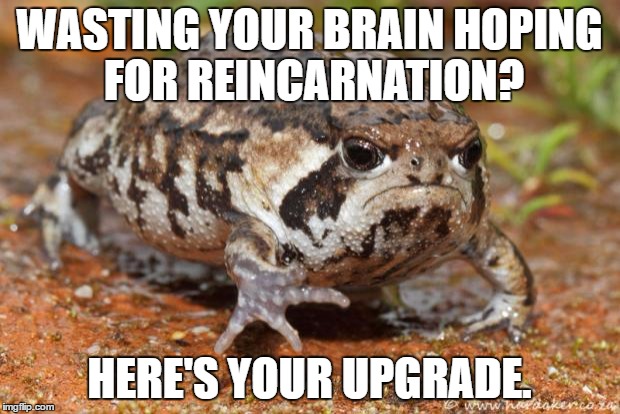 Grumpy Toad | WASTING YOUR BRAIN HOPING FOR REINCARNATION? HERE'S YOUR UPGRADE. | image tagged in memes,grumpy toad | made w/ Imgflip meme maker