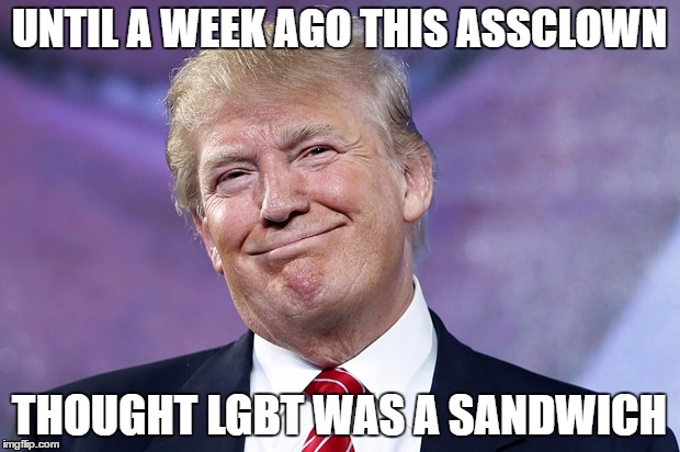 LGBT Sandwich ASSCLOWN | UNTIL A WEEK AGO THIS ASSCLOWN; THOUGHT LGBT WAS A SANDWICH | image tagged in donald trump,trump,lgbt,gay,funny memes,memes | made w/ Imgflip meme maker