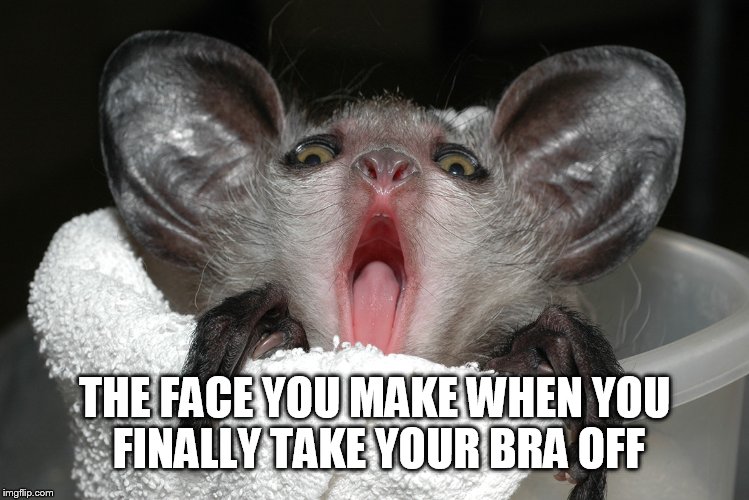 When the bra comes off | THE FACE YOU MAKE WHEN YOU FINALLY TAKE YOUR BRA OFF | image tagged in bra off women | made w/ Imgflip meme maker