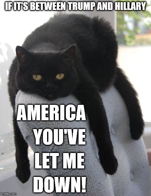 Draped Cat Be Like | IF IT'S BETWEEN TRUMP AND HILLARY; AMERICA; YOU'VE; LET ME; DOWN! | image tagged in black cat draped on chair,draped cat,trump and hillary,donald trump and hillary clinton,america you've let me down | made w/ Imgflip meme maker