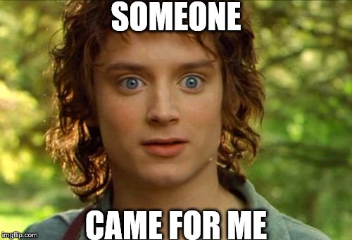 Surpised Frodo Meme | SOMEONE; CAME FOR ME | image tagged in memes,surpised frodo | made w/ Imgflip meme maker