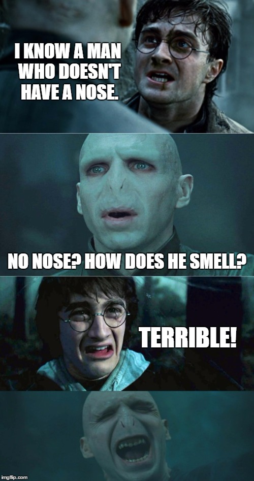 The Nose Knows | I KNOW A MAN WHO DOESN'T HAVE A NOSE. NO NOSE? HOW DOES HE SMELL? TERRIBLE! | image tagged in memes | made w/ Imgflip meme maker