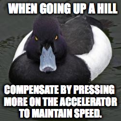 Angry Advice Mallard | WHEN GOING UP A HILL; COMPENSATE BY PRESSING MORE ON THE ACCELERATOR TO MAINTAIN SPEED. | image tagged in angry advice mallard | made w/ Imgflip meme maker
