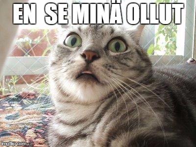 shocked cat | EN  SE MINÄ OLLUT | image tagged in shocked cat | made w/ Imgflip meme maker