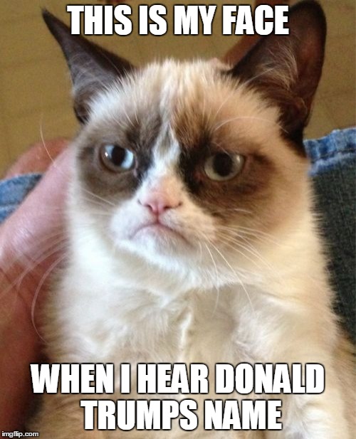 Grumpy Cat | THIS IS MY FACE; WHEN I HEAR DONALD TRUMPS NAME | image tagged in memes,grumpy cat | made w/ Imgflip meme maker