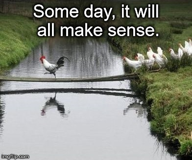 Some day, it will all make sense. | image tagged in some day | made w/ Imgflip meme maker