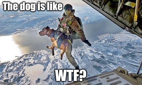 Airborne bomb sniffing canine | The dog is like; WTF? | image tagged in war dog,memes | made w/ Imgflip meme maker