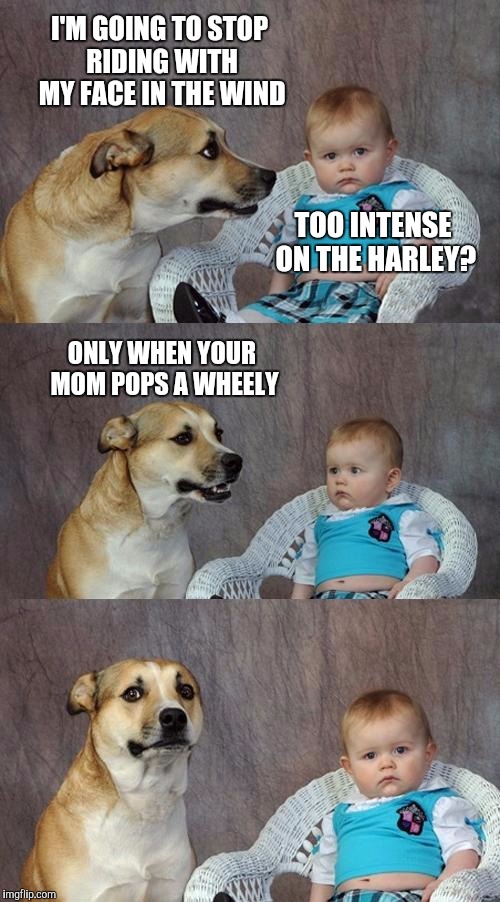 Dad Joke Dog | I'M GOING TO STOP RIDING WITH MY FACE IN THE WIND; TOO INTENSE ON THE HARLEY? ONLY WHEN YOUR MOM POPS A WHEELY | image tagged in memes,dad joke dog | made w/ Imgflip meme maker