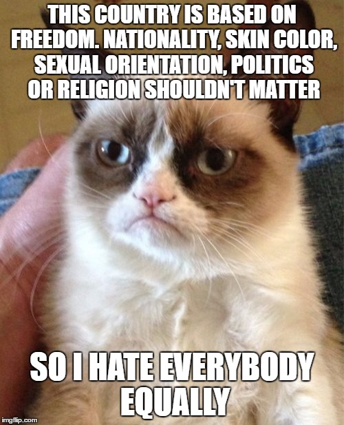 Grumpy Cat Meme | THIS COUNTRY IS BASED ON FREEDOM. NATIONALITY, SKIN COLOR, SEXUAL ORIENTATION, POLITICS OR RELIGION SHOULDN'T MATTER; SO I HATE EVERYBODY EQUALLY | image tagged in memes,grumpy cat | made w/ Imgflip meme maker