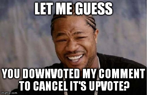 Yo Dawg Heard You Meme | LET ME GUESS YOU DOWNVOTED MY COMMENT TO CANCEL IT'S UPVOTE? | image tagged in memes,yo dawg heard you | made w/ Imgflip meme maker