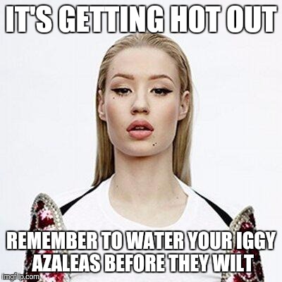 Iggy Azalea | IT'S GETTING HOT OUT; REMEMBER TO WATER YOUR IGGY AZALEAS BEFORE THEY WILT | image tagged in iggy azalea | made w/ Imgflip meme maker