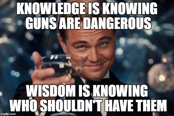 Leonardo Dicaprio Cheers Meme | KNOWLEDGE IS KNOWING GUNS ARE DANGEROUS; WISDOM IS KNOWING WHO SHOULDN'T HAVE THEM | image tagged in memes,leonardo dicaprio cheers | made w/ Imgflip meme maker