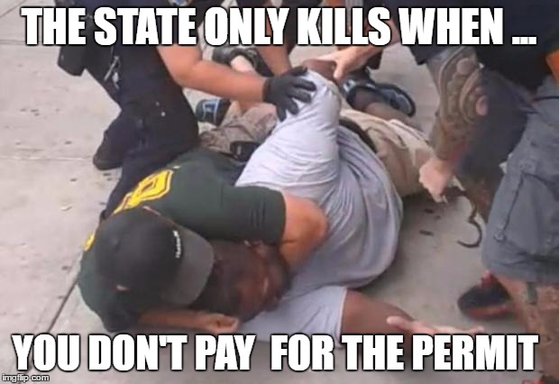 killer cops | THE STATE ONLY KILLS WHEN ... YOU DON'T PAY  FOR THE PERMIT | image tagged in killer cops | made w/ Imgflip meme maker