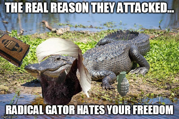 radical gator is radical |  THE REAL REASON THEY ATTACKED... RADICAL GATOR HATES YOUR FREEDOM | image tagged in a happy_terd original,radical islam,gator,aligator | made w/ Imgflip meme maker