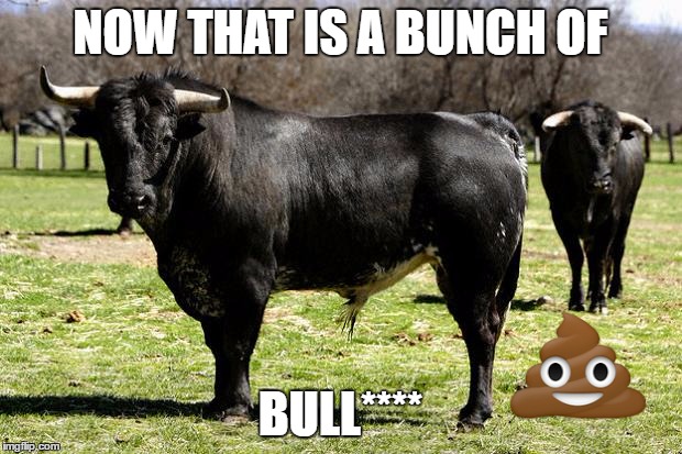 the truth | NOW THAT IS A BUNCH OF; BULL**** | image tagged in bullshit | made w/ Imgflip meme maker