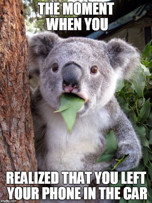 shocked koala | THE MOMENT WHEN YOU; REALIZED THAT YOU LEFT YOUR PHONE IN THE CAR | image tagged in shocked koala | made w/ Imgflip meme maker