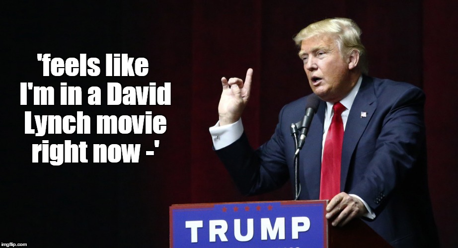 David Lynch movie | 'feels like I'm in a David Lynch movie right now -' | image tagged in donald trump,election 2016,funny | made w/ Imgflip meme maker