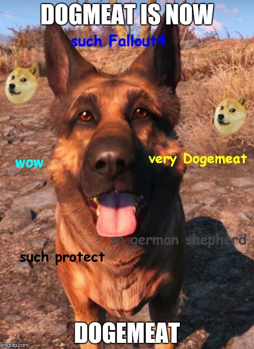 Dogemeat | DOGMEAT IS NOW; DOGEMEAT | image tagged in doge,dogs,memes | made w/ Imgflip meme maker