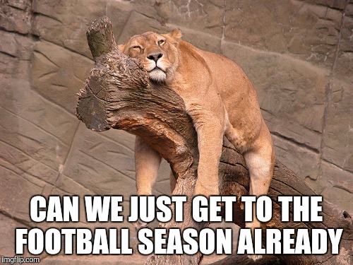 Nfl |  CAN WE JUST GET TO THE FOOTBALL SEASON ALREADY | image tagged in football,sundays,goals,nfl,cam | made w/ Imgflip meme maker